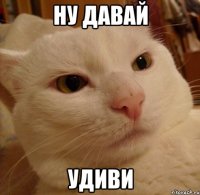 ну давай удиви