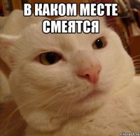 в каком месте смеятся 