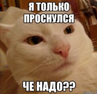 я только проснулся че надо??