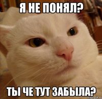 я не понял? ты че тут забыла?