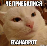 че приебалися ебанаврот