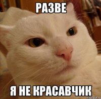 разве я не красавчик