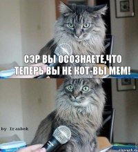 Сэр Вы осознаете,что теперь Вы не Кот-Вы Мем!