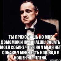 Ты приходишь ко мне домомой,и начинаешь сосать моей собаке член,но у меня нет собаки,у меня есть кошка,а у кошек нет члена.