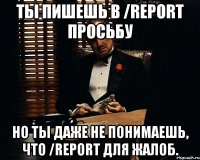 ты пишешь в /report просьбу но ты даже не понимаешь, что /report для жалоб.