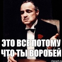 это все потому что ты Воробей