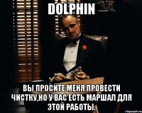 dolphin вы просите меня провести чистку,но у вас есть маршал для этой работы.