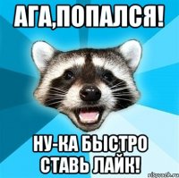 ага,попался! ну-ка быстро ставь лайк!