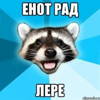 енот рад лере