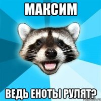 максим ведь еноты рулят?