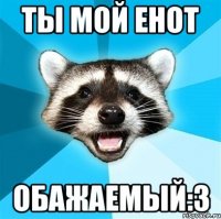 ты мой енот обажаемый:3