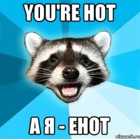 you're hot а я - енот