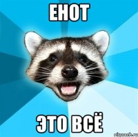 енот это всё