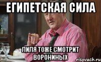 египетская сила лиля тоже смотрит ворониных