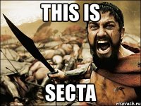 this is secta