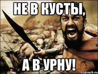 не в кусты, а в урну!