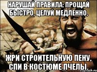 нарушай правила: прощай быстро, целуй медленно, жри строительную пену, спи в костюме пчелы.