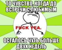 то чувство, когда до встречи с любимым осталось чуть больше двух недель