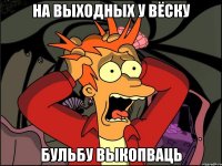 на выходных у вёску бульбу выкопваць