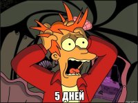  5 дней