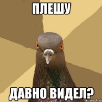 плешу давно видел?