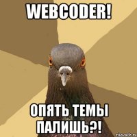 webcoder! опять темы палишь?!