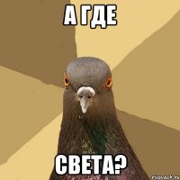 а где света?