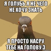 я голубь я не чего не хочу знать я просто насру тебе на голову:3