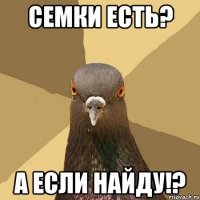 семки есть? а если найду!?