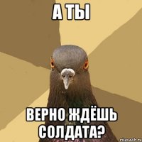 а ты верно ждёшь солдата?