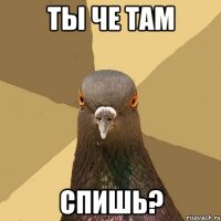 ты че там спишь?