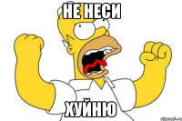 не неси хуйню