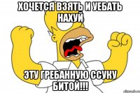 хочется взять и уебать нахуй эту гребанную ссуку битой!!!