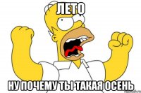 лето ну почему ты такая осень