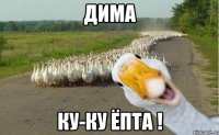 дима ку-ку ёпта !