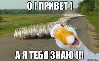 о ! привет ! а я тебя знаю !!!