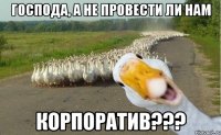 господа, а не провести ли нам корпоратив???