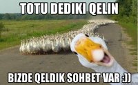 totu dediki qelin bizde qeldik sohbet var :))