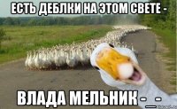 есть деблки на этом свете - влада мельник -_-