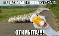 продажа билетов на кубана 14 открыта!!!