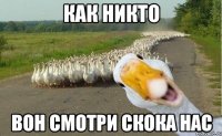 как никто вон смотри скока нас