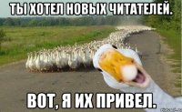 ты хотел новых читателей. вот, я их привел.