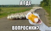 а где вопросики?