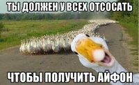 ты должен у всех отсосать чтобы получить айфон