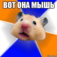 вот она мышь 