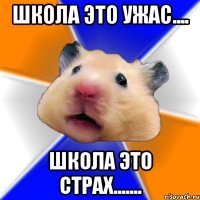 школа это ужас.... школа это страх.......