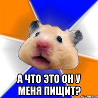  а что это он у меня пищит?