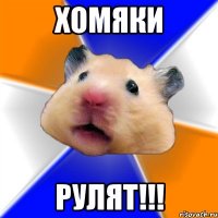 хомяки рулят!!!