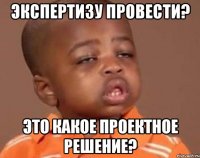 экспертизу провести? это какое проектное решение?