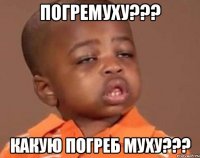 погремуху??? какую погреб муху???